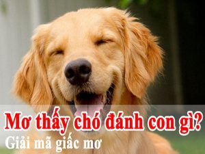mo-thay-cho-2