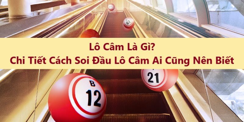 Khái niệm về lô tô câm